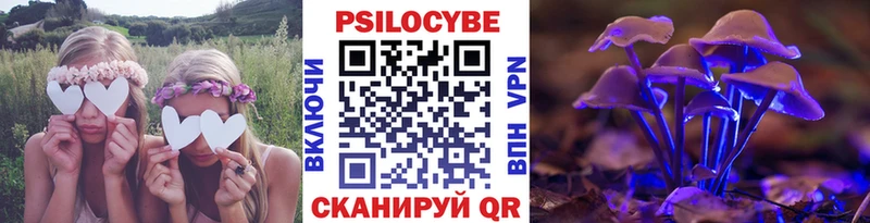 закладка  blacksprut зеркало  Галлюциногенные грибы Psilocybe  Вельск 